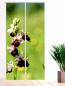 Preview: Orchideenzauber, Schiebegardine, Flächenvorhang Set, blickdicht,